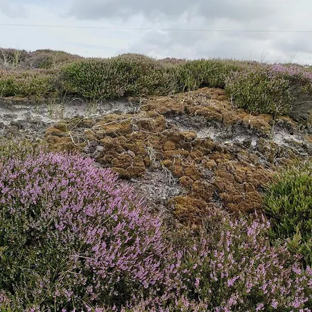 24 Persons In * Nørre Nebel
