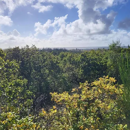 Hébergement de vacances 24 Persons In