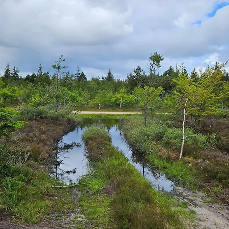 24 Persons In Hébergement de vacances Nørre Nebel
