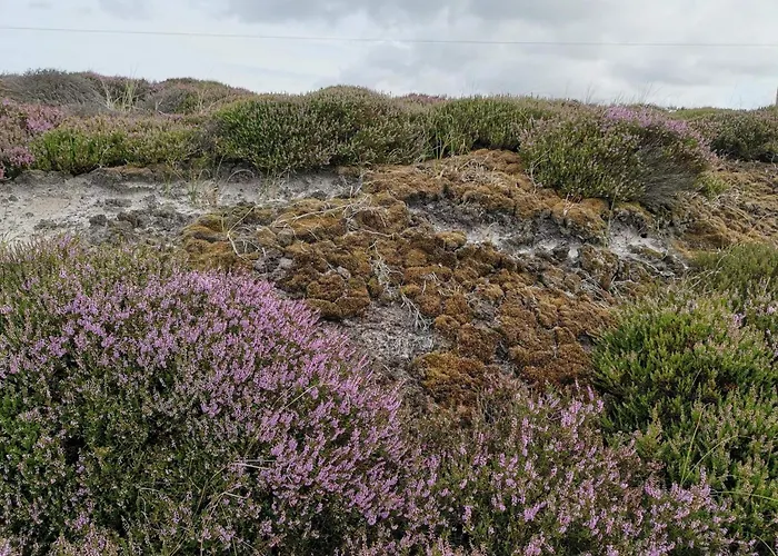 24 Persons In * Nørre Nebel