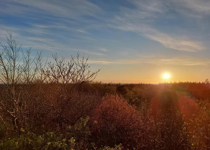 24 Persons In Vakantiehuis