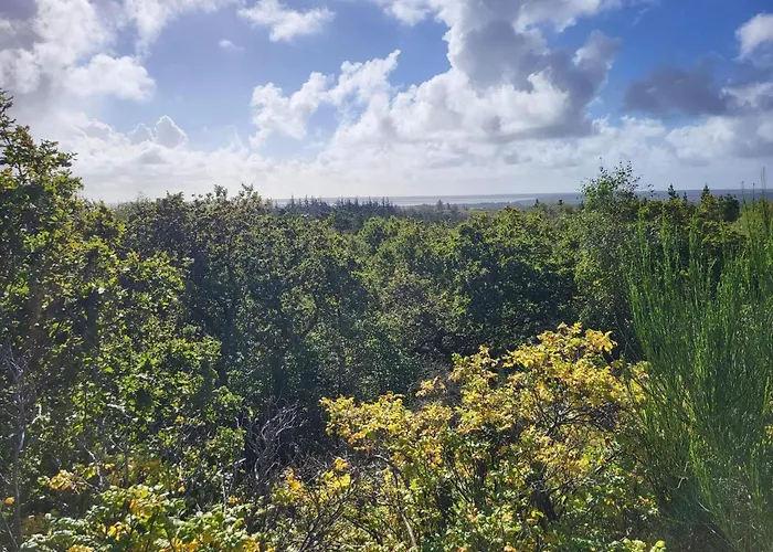 Vakantiehuis 24 Persons In