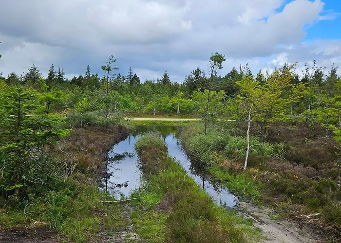 24 Persons In Vakantiehuis Nørre Nebel